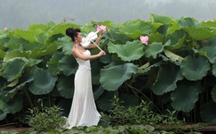 亚洲是图 夜夜撸